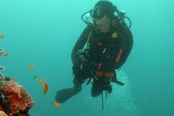 Rescue diver duiken en padi duikopleidingen ids dendermonde